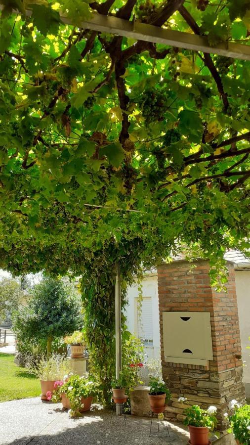 Villa El Maragato Castrillo de Cepeda Exterior foto